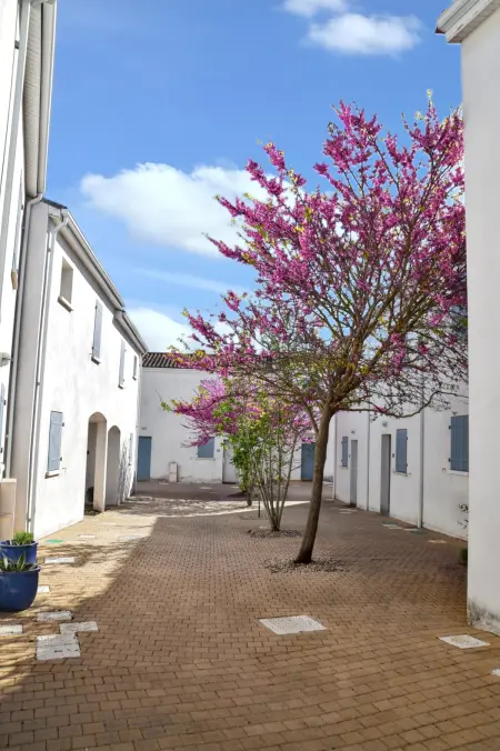 Maison charmante à Vaux-sur-Mer avec piscine partagée - Photo 34