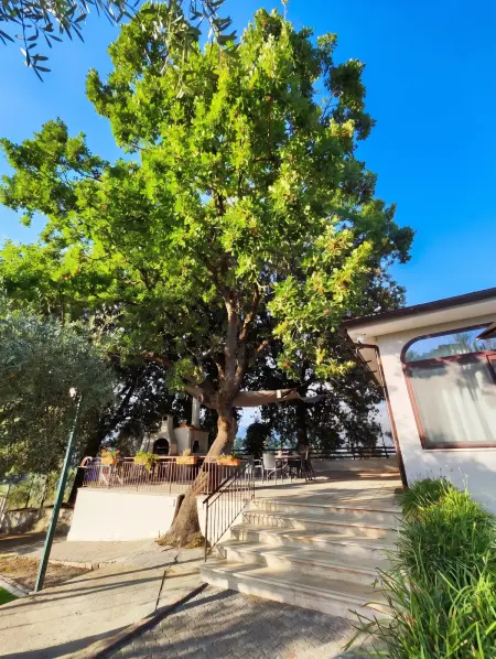 Maison de charme entre Sant'Agostino et Sperlonga, jardin : photo 13