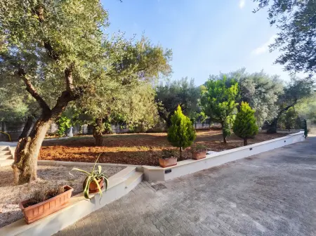 Maison de charme entre Sant'Agostino et Sperlonga, jardin : photo 31