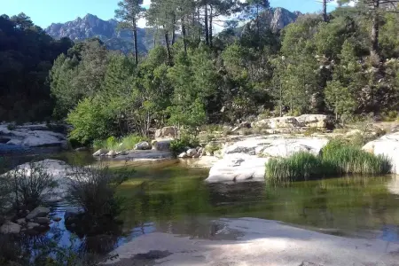Villa 5 chambres avec piscine privée à Zonza, Corse-du-Sud : photo 11