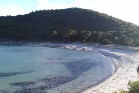 Villa 5 chambres avec piscine privée à Zonza, Corse-du-Sud : photo 13