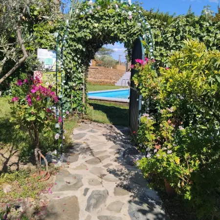 Studio confortable à Valencia de Alcántara 25 m² jardin splendide - Photo 4