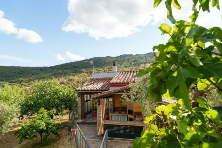 Studio confortable à Valencia de Alcántara 25 m² jardin splendide - Photo 8