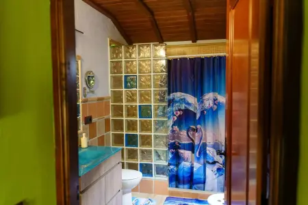 Studio confortable à Valencia de Alcántara 25 m² jardin splendide - Photo 38