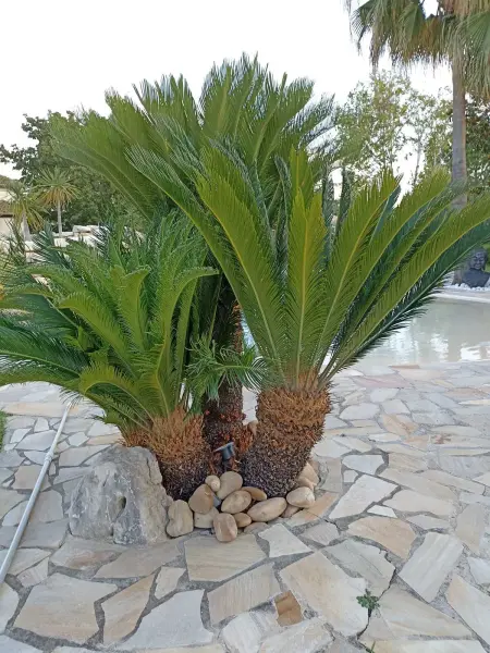 Villa charmante en campagne avec piscine privée - Photo 19