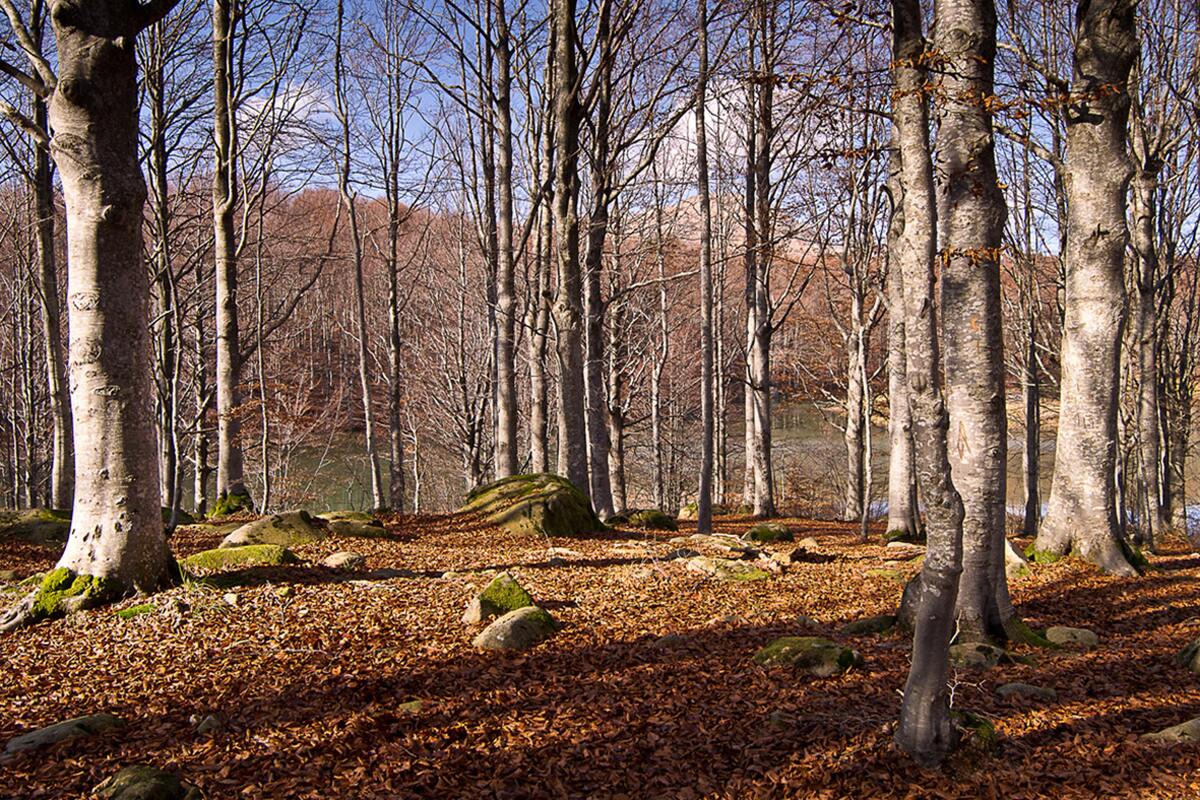 Chalet 100 m² Giarola, vue montagne et jardin clôturé - Photo 13