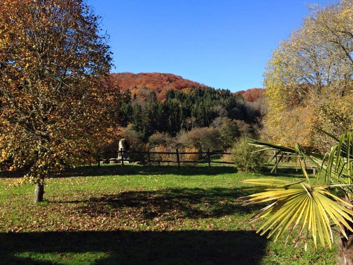 Maison 4 pers. avec jardin et vue montagnes à Alligny-en-Morvan - Photo 15