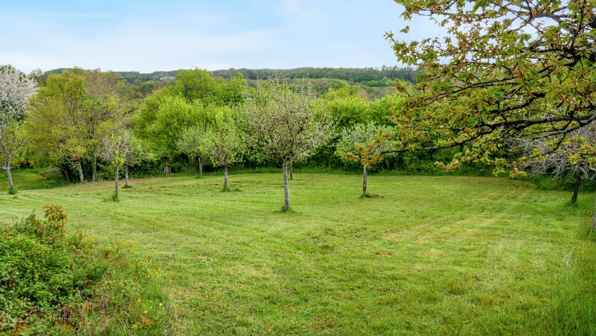 Maison 4 pers. à Reugny, jardin clôturé et pétanque - Photo 20