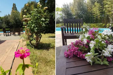 Villa avec piscine privée et jardin clôturé à Florence : photo 38