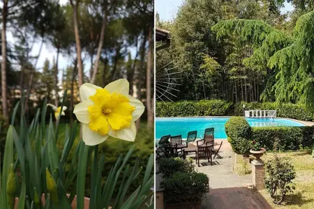 Villa avec piscine privée et jardin clôturé à Florence : photo 41