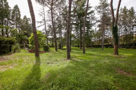 Villa avec piscine privée et jardin clôturé à Florence : photo 45