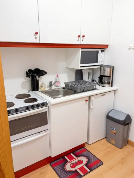 Studio 31 m² avec vue montagne et terrasse à Gérardmer : photo 21