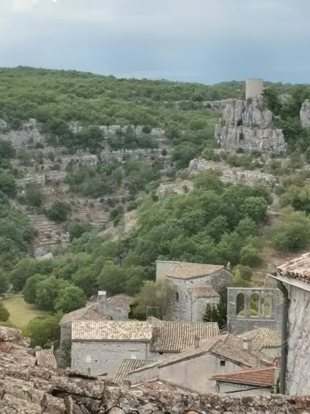Maison de charme à Balazuc avec jardin clos et plancha électrique : photo 25