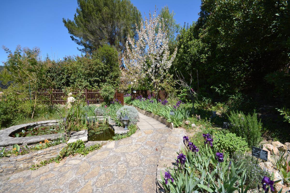 Maison Ceyreste : terrasse, jardin et piste de pétanque - Photo 18