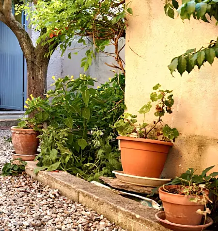Appartement charmant proche d'Avignon avec piscine privée - Photo 9