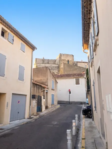 Appartement 45 m² avec terrasse privée à Vedène, animaux acceptés : photo 31