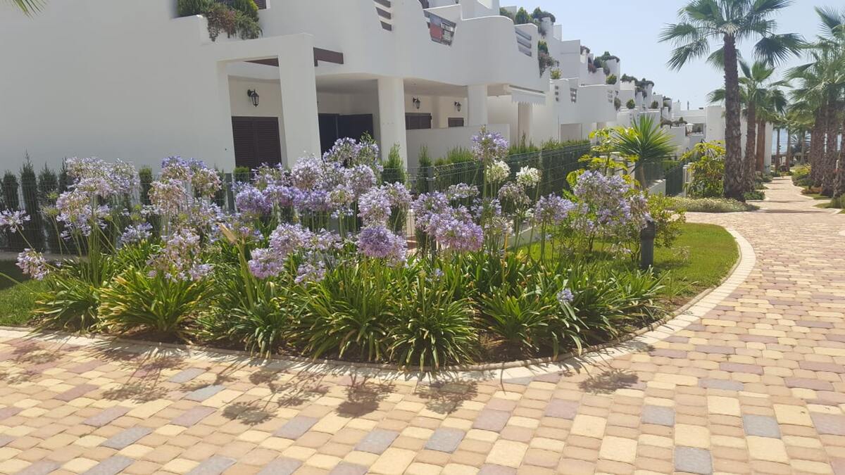 Appartement 94m² vue mer à San Juan de los Terreros - Photo 21