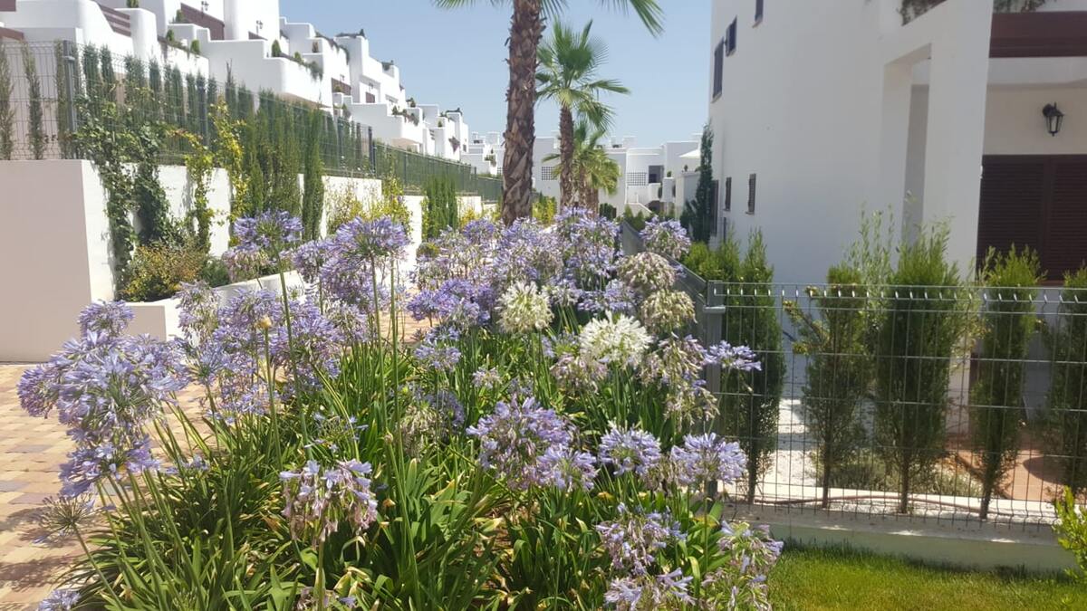 Appartement 94m² vue mer à San Juan de los Terreros - Photo 22