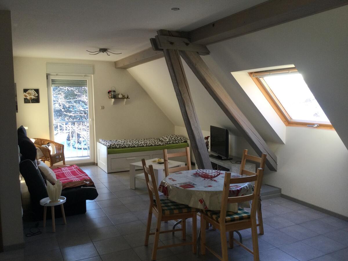 Appartement 45 m² avec recharge électrique à Lohr - Photo 1