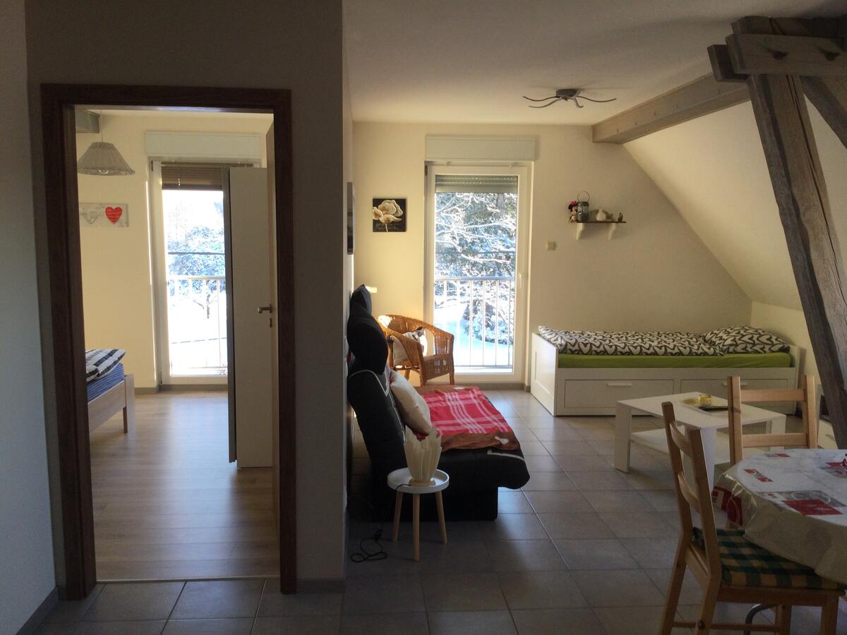 Appartement 45 m² avec recharge électrique à Lohr - Photo 9