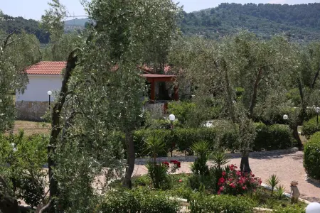 Appartement à Vieste avec piscine partagée et jardin clôturé : photo 22