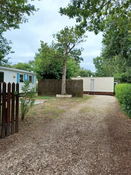 Charmant bungalow à Saint-Pierre-d'Oléron - Jardin privé - Photo 9