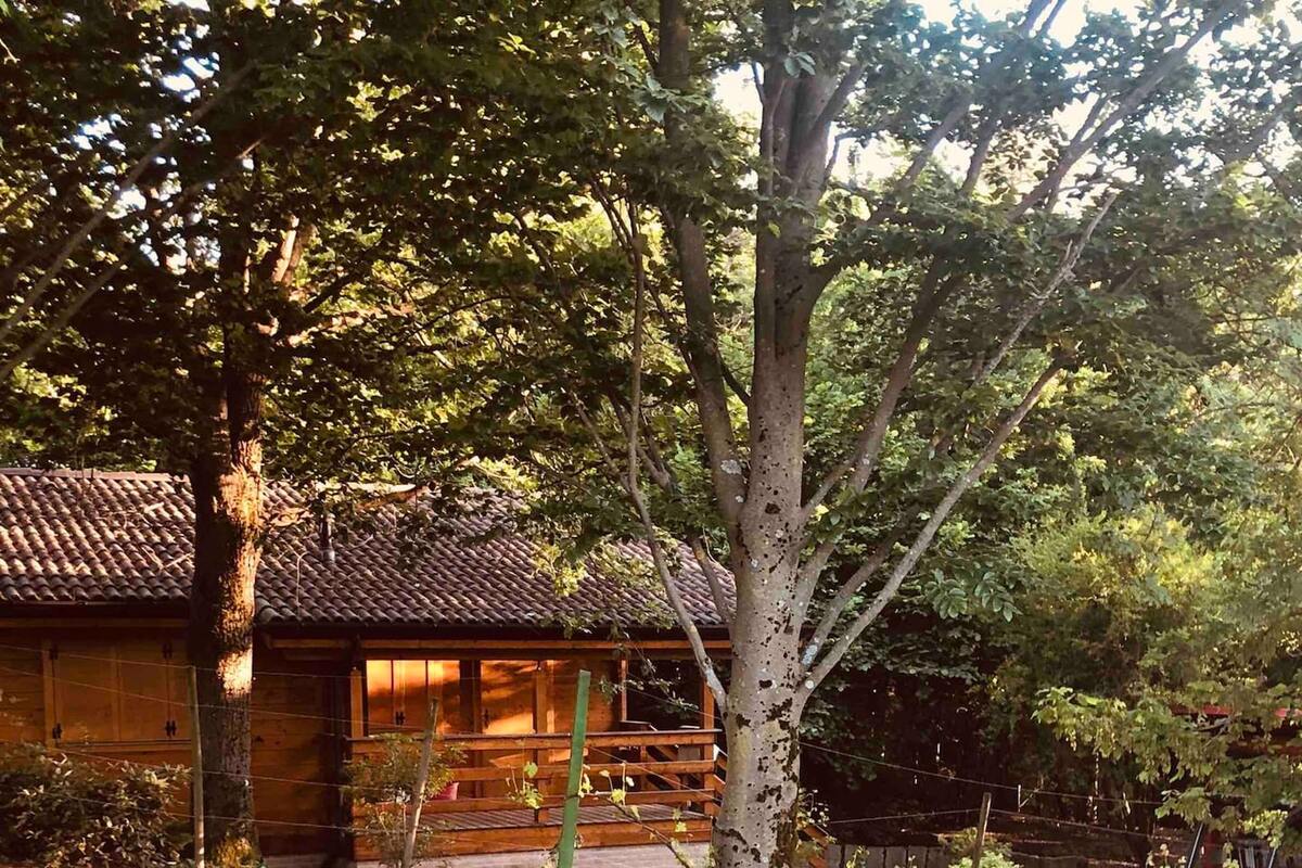 Chalet avec piscine privée et jacuzzi à Castell'Arquato - Photo 43