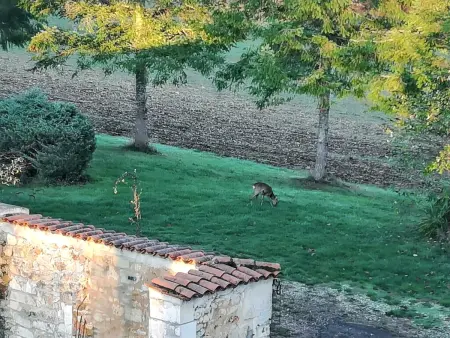 Maison de charme avec piscine partagée à Brantôme en Périgord : photo 17