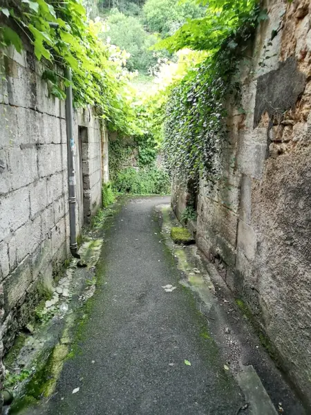 Maison de charme avec piscine partagée à Brantôme en Périgord : photo 33