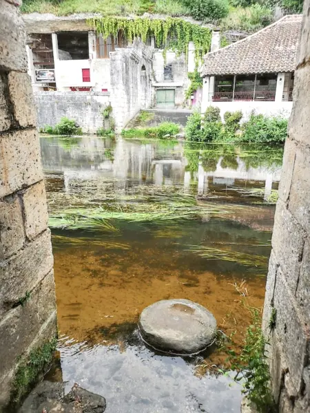 Maison de charme avec piscine partagée à Brantôme en Périgord : photo 35