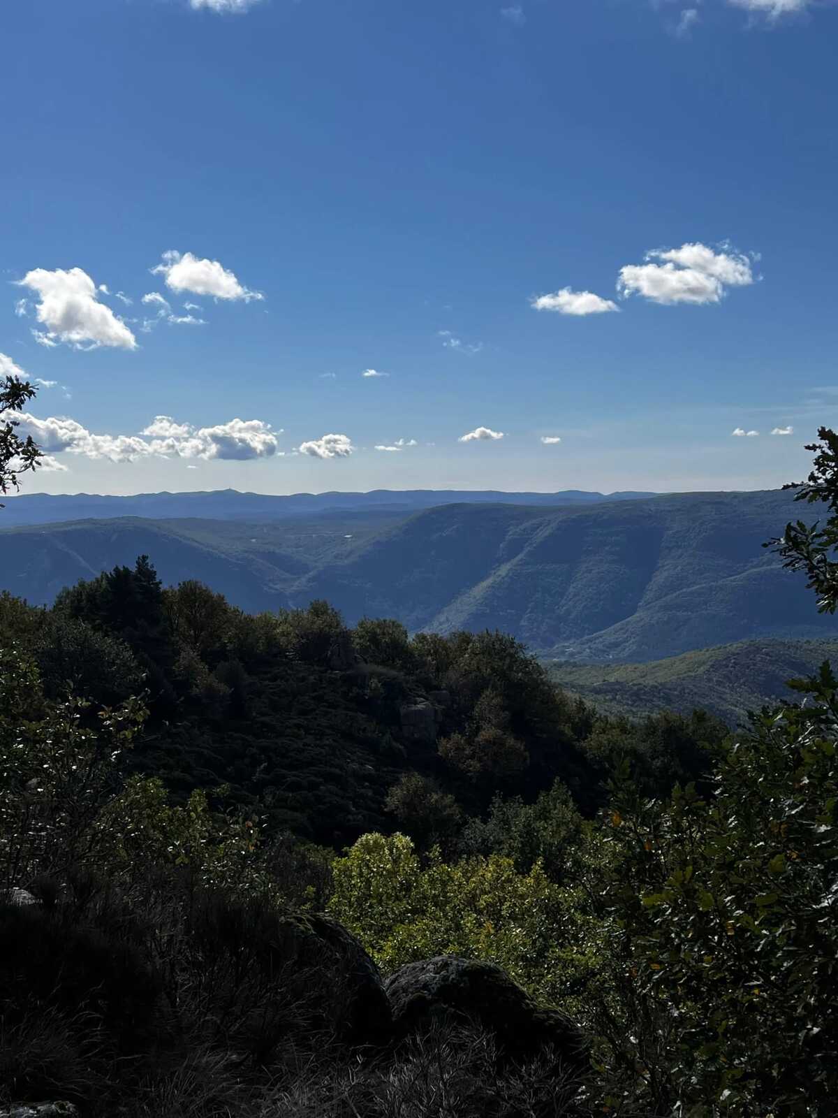 Maison 8 pers. aux Cévennes avec jardin et vue montagne - Photo 28