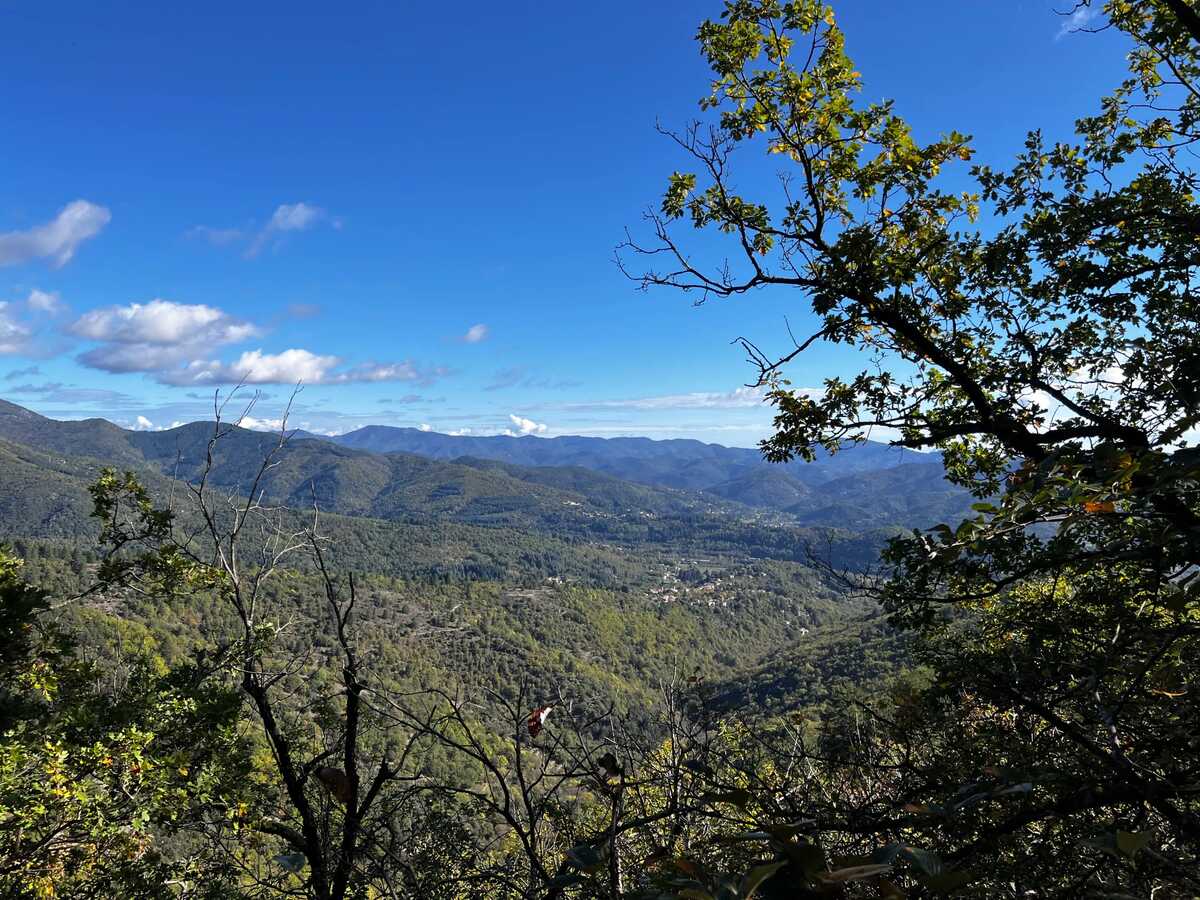 Maison 8 pers. aux Cévennes avec jardin et vue montagne - Photo 29