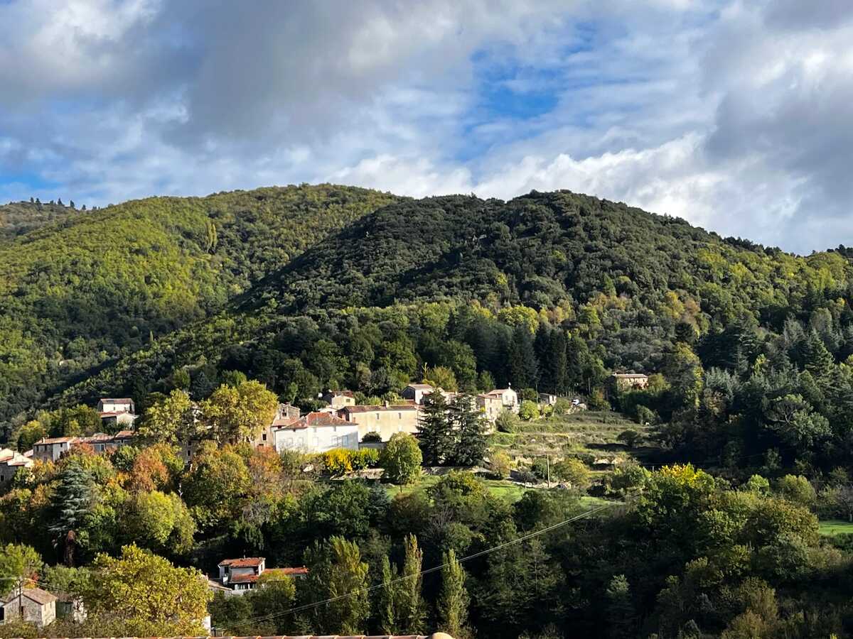 Maison 8 pers. aux Cévennes avec jardin et vue montagne - Photo 30