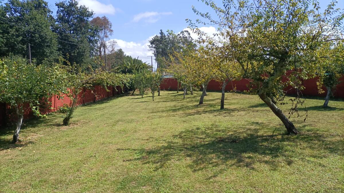 Maison 250 m² avec jardin clos à Touro – 9 personnes - Photo 30