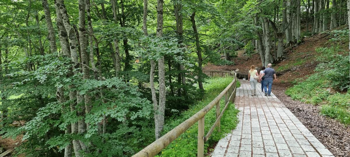 Appartement 55 m² avec balcon vue montagne à Pizzoferrato - Photo 8