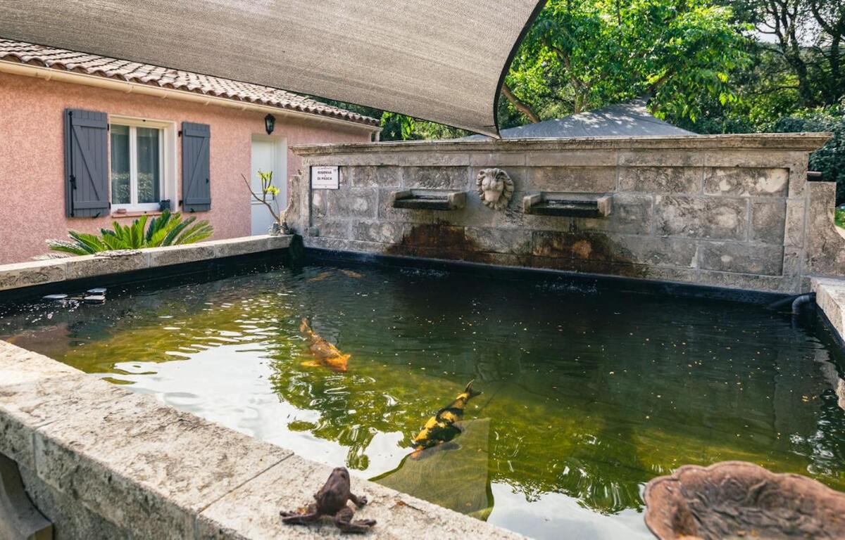 Villa avec piscine privée au Plan-de-la-Tour, jardin et barbecue - Photo 14