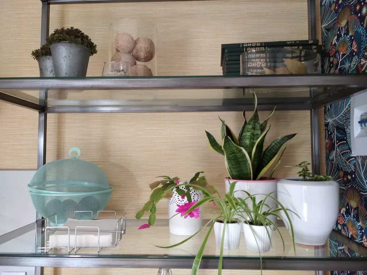Maison 40 m² à Parada, jardin clôturé et vue montagne - Photo 59