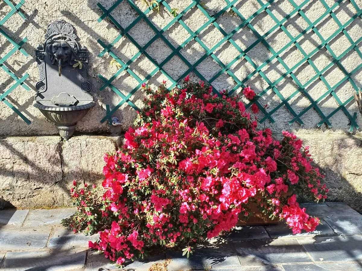 Maison 40 m² à Parada, jardin clôturé et vue montagne - Photo 62