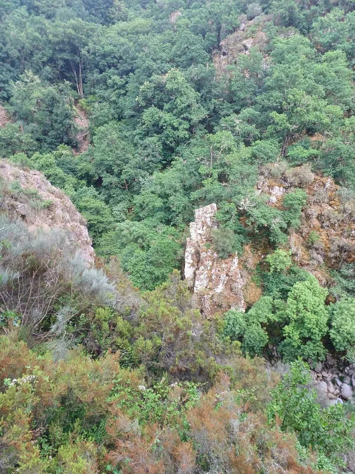 Maison 40 m² à Parada, jardin clôturé et vue montagne - Photo 65