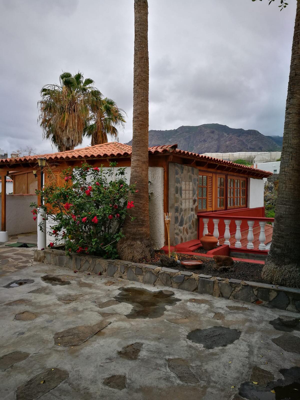 Maison 1 chambre à Buenavista del Norte, piscine et vue montagne - Photo 14