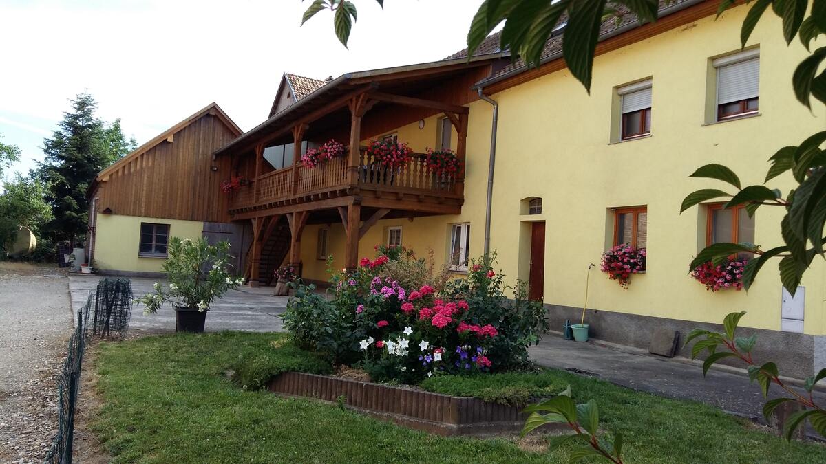 Maison 65 m² avec jardin et terrasse à Stotzheim - Photo 11