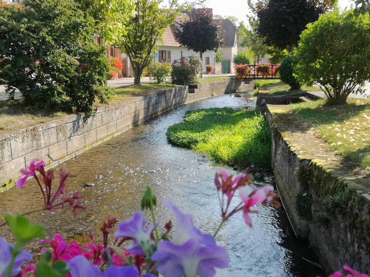 Maison 65 m² avec jardin et terrasse à Stotzheim - Photo 15