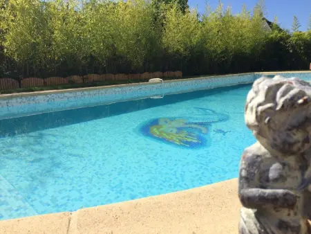 Villa avec piscine privée et 6 chambres à Saint-Cyr-sur-Loire : photo 5