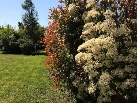 Villa avec piscine privée et 6 chambres à Saint-Cyr-sur-Loire : photo 43