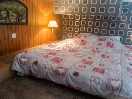 Appartement cosy 16 m² avec terrasse à La Bresse : photo 5