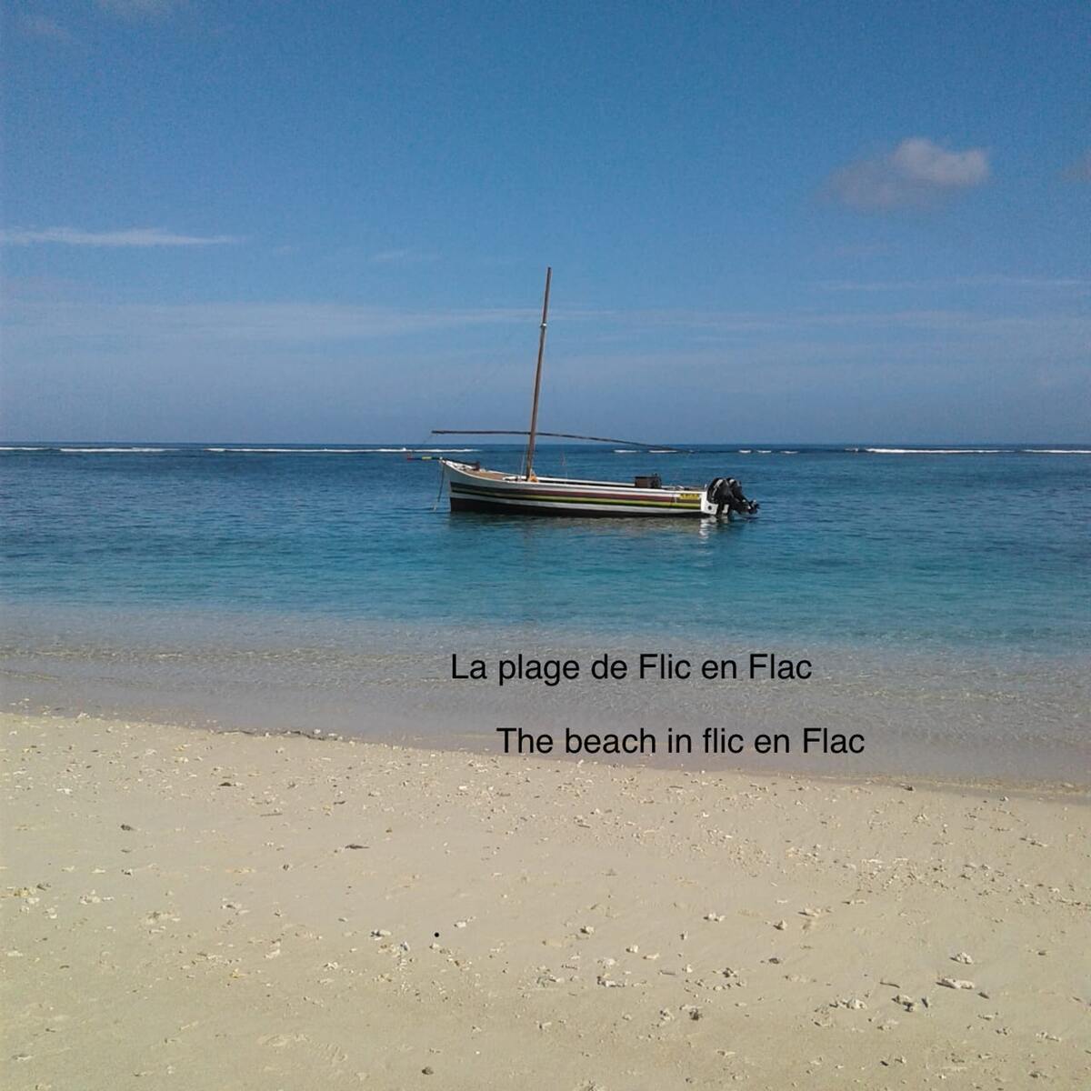 Appartement 2 chambres avec vue mer et piscine à Flic en Flac - Photo 25