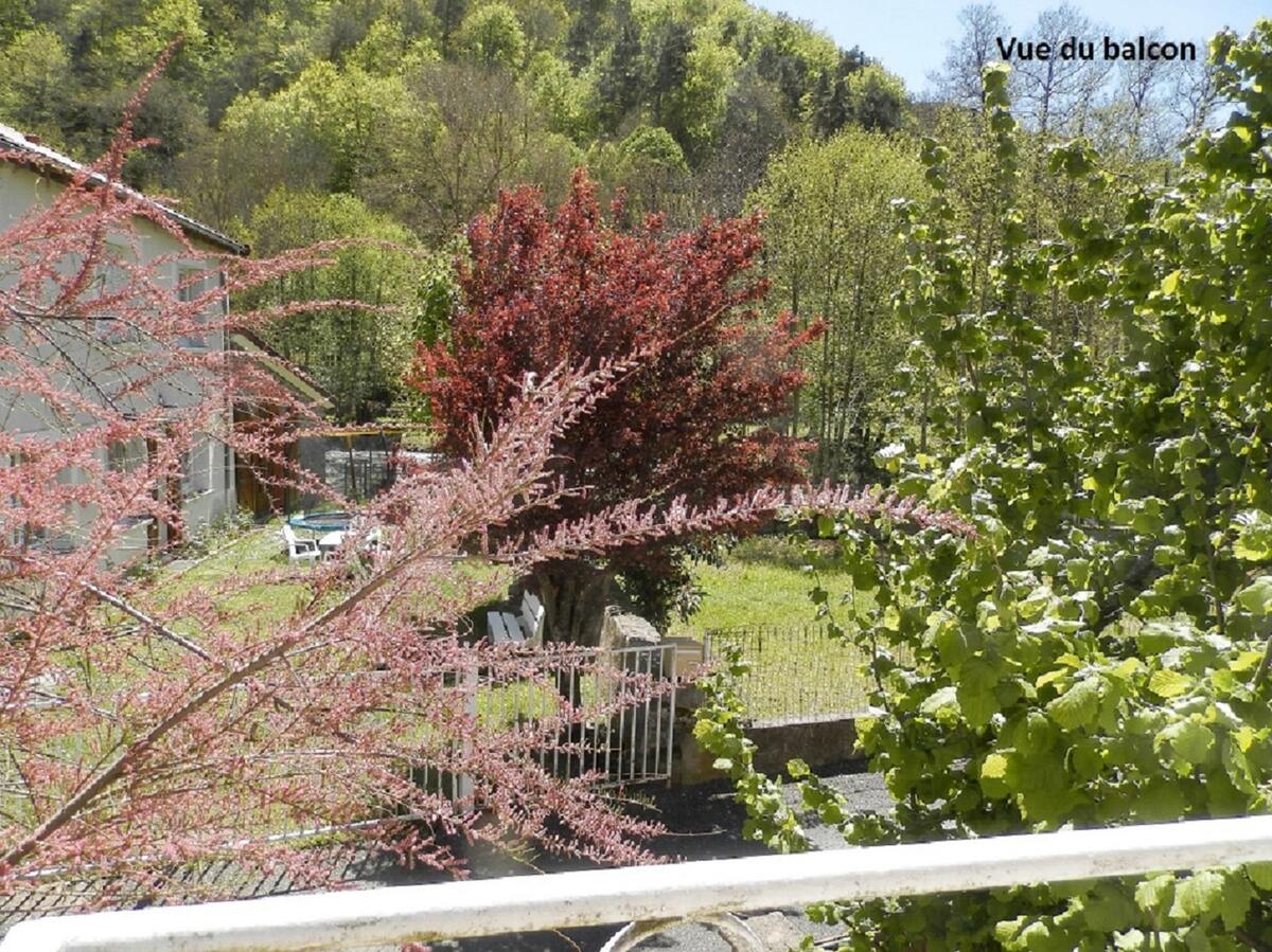 Maison 5 pers. Ferrières-Saint-Mary, jardin vue montagne - Photo 18