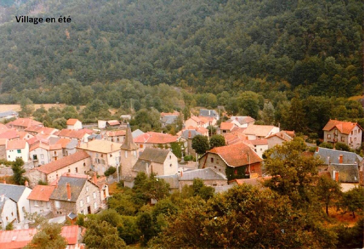 Maison 5 pers. Ferrières-Saint-Mary, jardin vue montagne - Photo 19