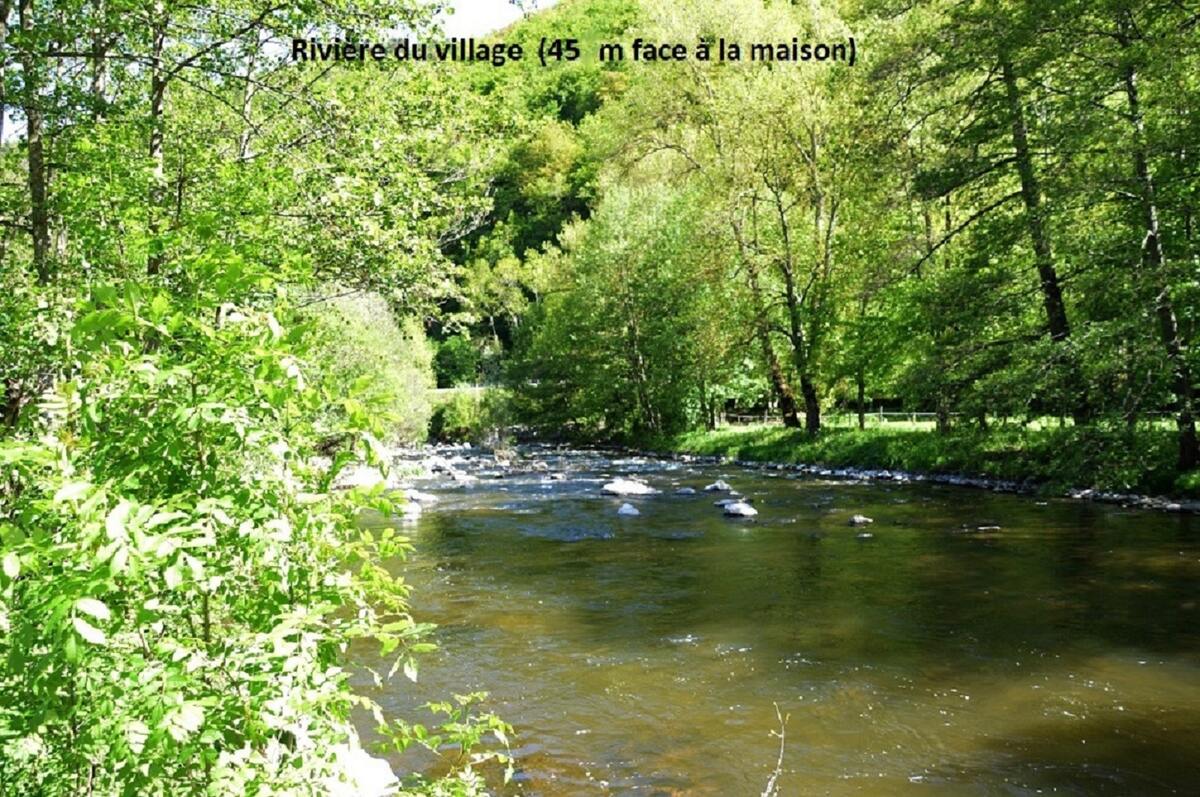 Maison 5 pers. Ferrières-Saint-Mary, jardin vue montagne - Photo 21