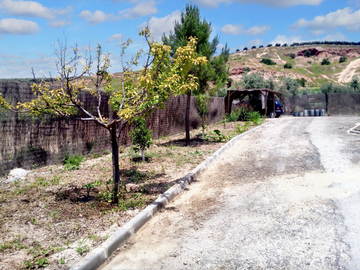 Maison 10 pers. avec piscine ouverte toute l'année à Montilla - Photo 7